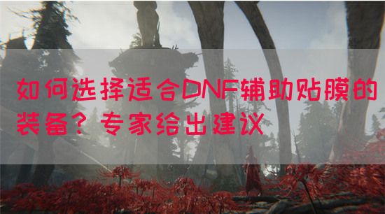 如何选择适合DNF辅助贴膜的装备？专家给出建议