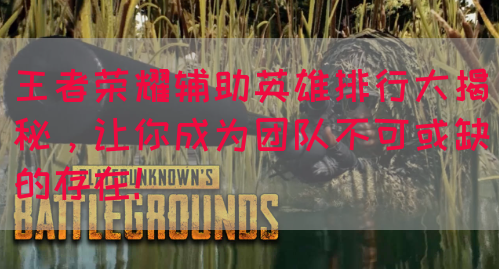 王者荣耀辅助英雄排行大揭秘，让你成为团队不可或缺的存在！