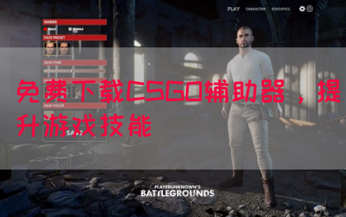 免费下载CSGO辅助器，提升游戏技能