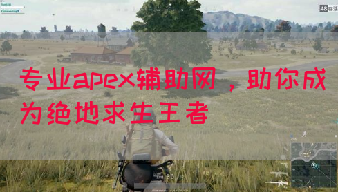 专业apex辅助网，助你成为绝地求生王者