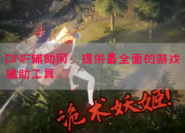 DNF辅助网：提供最全面的游戏辅助工具