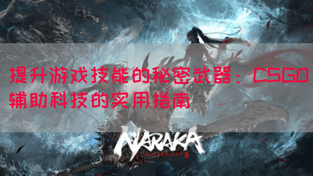 提升游戏技能的秘密武器：CSGO辅助科技的实用指南