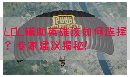 LOL辅助英雄该如何选择？专家建议揭秘！