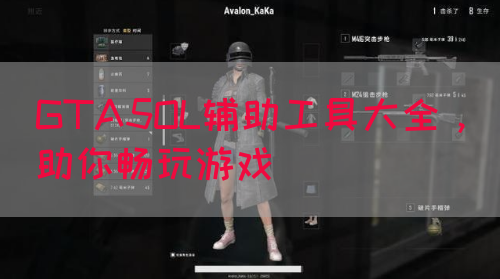 GTA5OL辅助工具大全，助你畅玩游戏