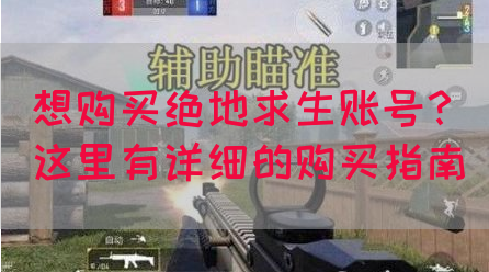想购买绝地求生账号？这里有详细的购买指南