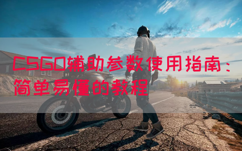CSGO辅助参数使用指南：简单易懂的教程
