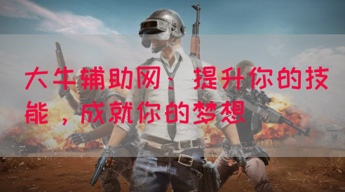 大牛辅助网：提升你的技能，成就你的梦想