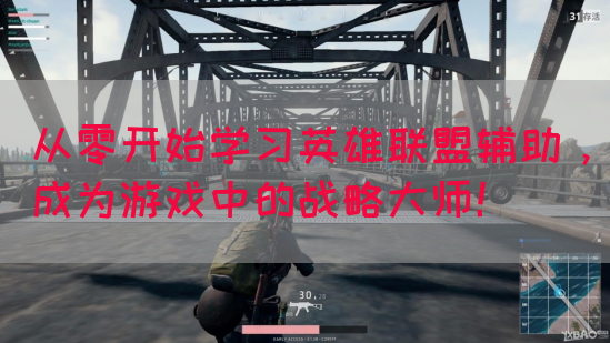 从零开始学习英雄联盟辅助，成为游戏中的战略大师！