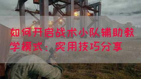 如何开启战术小队辅助教学模式：实用技巧分享