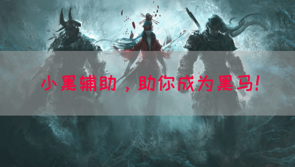 小黑辅助，助你成为黑马！