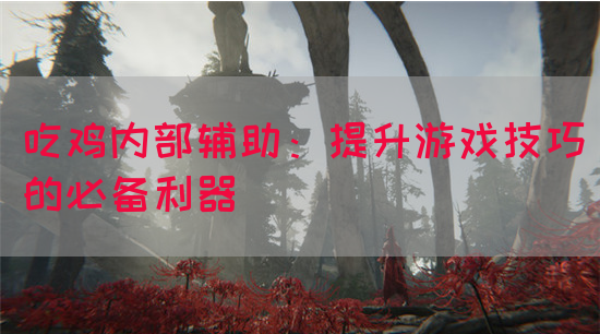 吃鸡内部辅助：提升游戏技巧的必备利器