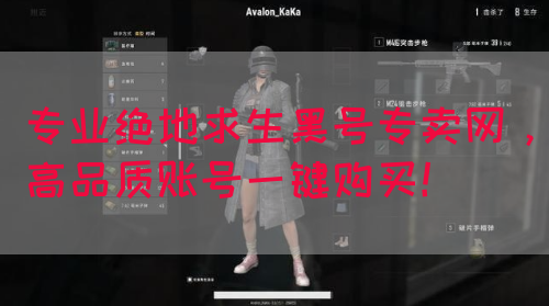 专业绝地求生黑号专卖网，高品质账号一键购买！