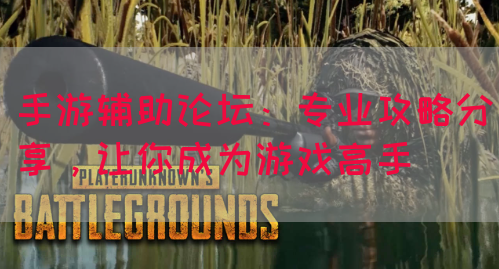 手游辅助论坛：专业攻略分享，让你成为游戏高手