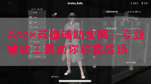 Apex英雄辅助官网：专业辅助工具助你称霸战场