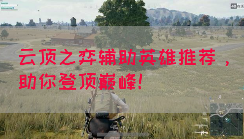 云顶之弈辅助英雄推荐，助你登顶巅峰！