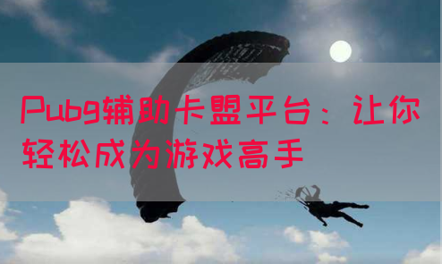 Pubg辅助卡盟平台：让你轻松成为游戏高手