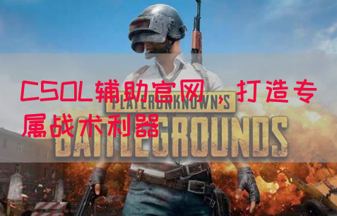 CSOL辅助官网，打造专属战术利器