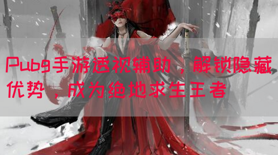 Pubg手游透视辅助，解锁隐藏优势，成为绝地求生王者