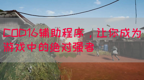 COD16辅助程序，让你成为游戏中的绝对强者