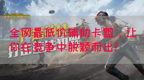 全网最低价辅助卡盟，让你在竞争中脱颖而出！