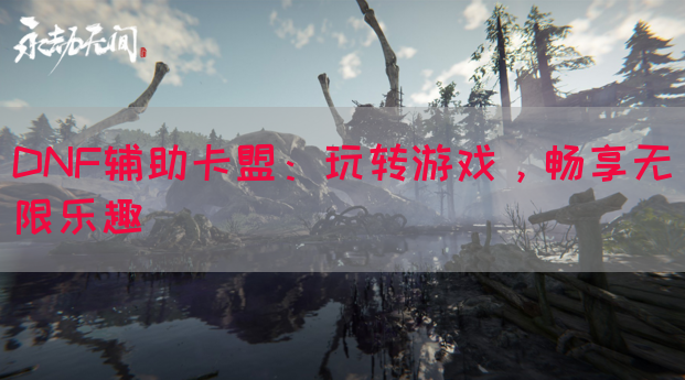 DNF辅助卡盟：玩转游戏，畅享无限乐趣