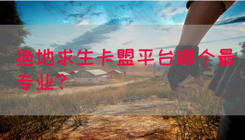 绝地求生卡盟平台哪个最专业？