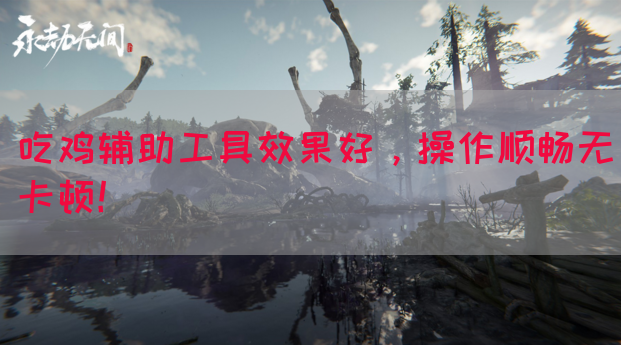 吃鸡辅助工具效果好，操作顺畅无卡顿！