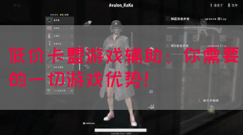 低价卡盟游戏辅助：你需要的一切游戏优势！