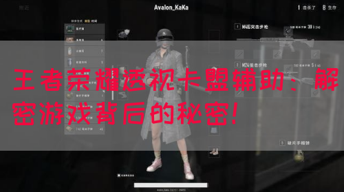 王者荣耀透视卡盟辅助：解密游戏背后的秘密！