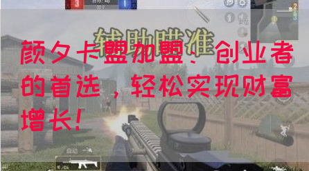 颜夕卡盟加盟：创业者的首选，轻松实现财富增长！