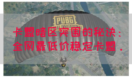 卡盟暗区突围的秘诀：全网最低价稳定卡盟。