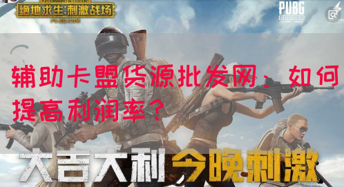 辅助卡盟货源批发网：如何提高利润率？