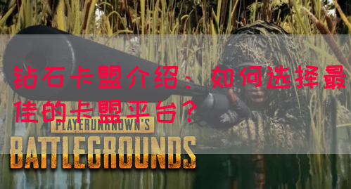 钻石卡盟介绍：如何选择最佳的卡盟平台？