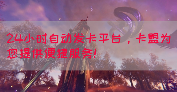 24小时自动发卡平台，卡盟为您提供便捷服务！