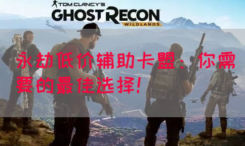 永劫低价辅助卡盟：你需要的最佳选择！