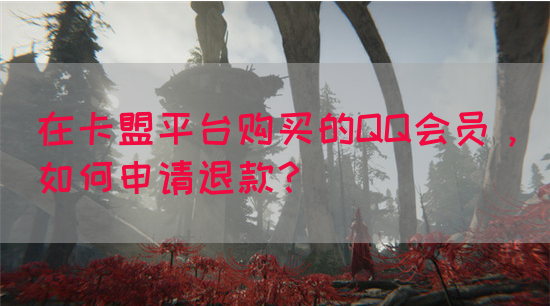 在卡盟平台购买的QQ会员，如何申请退款？