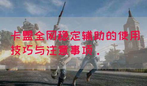 卡盟全网稳定辅助的使用技巧与注意事项。(图1)