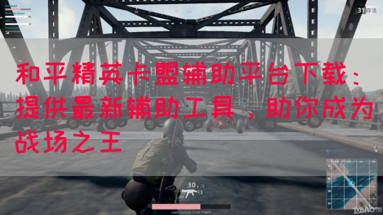 和平精英卡盟辅助平台下载：提供最新辅助工具，助你成为战场之王