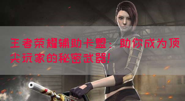 王者荣耀辅助卡盟：助你成为顶尖玩家的秘密武器！