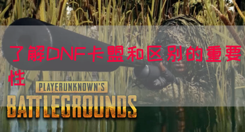 了解DNF卡盟和区别的重要性