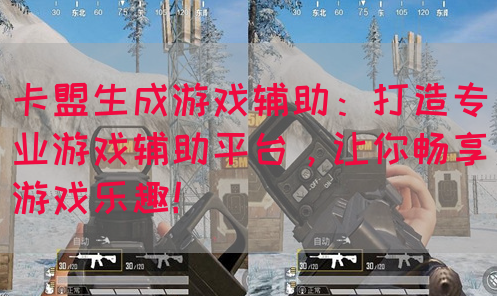 卡盟生成游戏辅助：打造专业游戏辅助平台，让你畅享游戏乐趣！