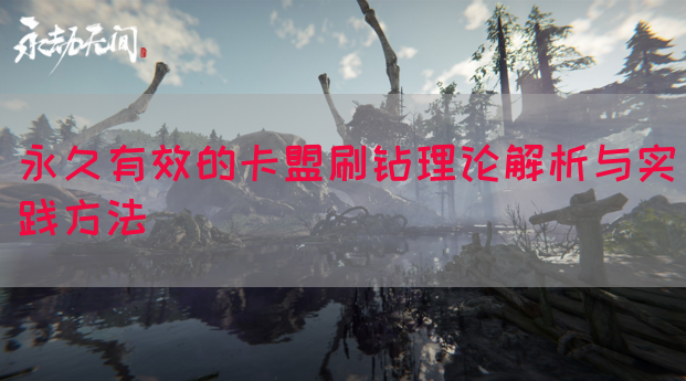 永久有效的卡盟刷钻理论解析与实践方法
