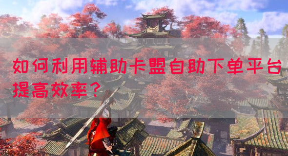 如何利用辅助卡盟自助下单平台提高效率？