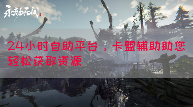24小时自助平台，卡盟辅助助您轻松获取资源