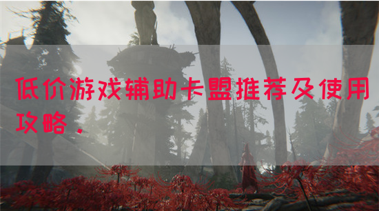 低价游戏辅助卡盟推荐及使用攻略。