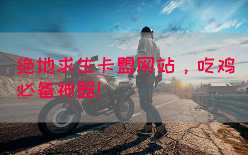 绝地求生卡盟网站，吃鸡必备神器！