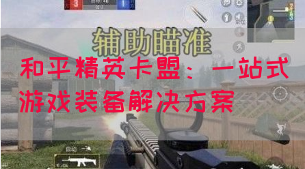 和平精英卡盟：一站式游戏装备解决方案