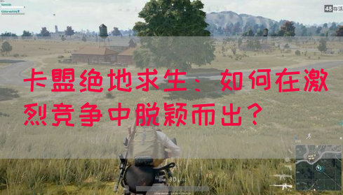 卡盟绝地求生：如何在激烈竞争中脱颖而出？