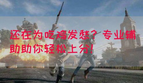 还在为吃鸡发愁？专业辅助助你轻松上分！