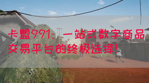 卡盟991：一站式数字商品交易平台的终极选择！